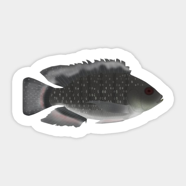 Blue Spotted Tilapia Sticker by FishFolkArt